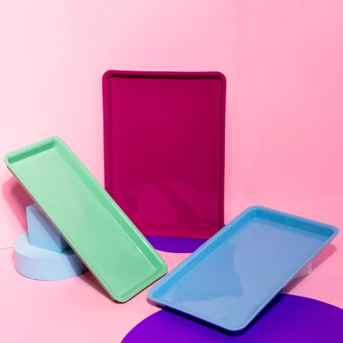 Indusbello Standard Autoclavable Tray | Organization and Versatility - Image 2